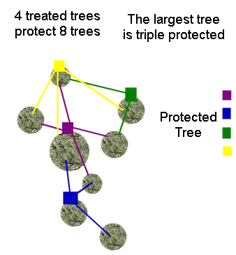 Protect More Trees per treatment