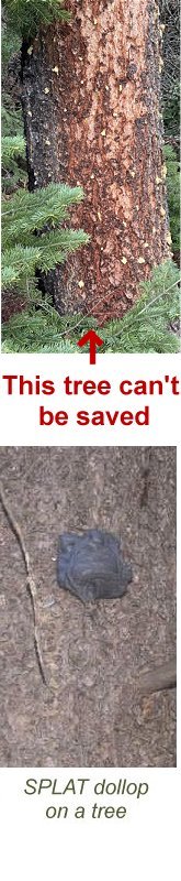 Apply dollops of Splat to your trees